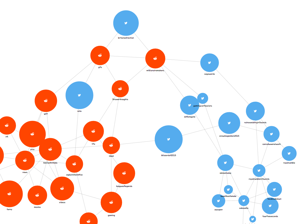 Force-directed graph: the final product